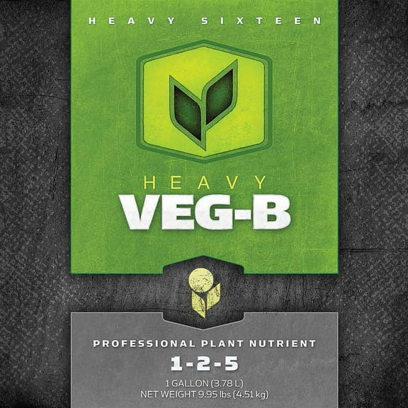 Heavy 16 Veg B