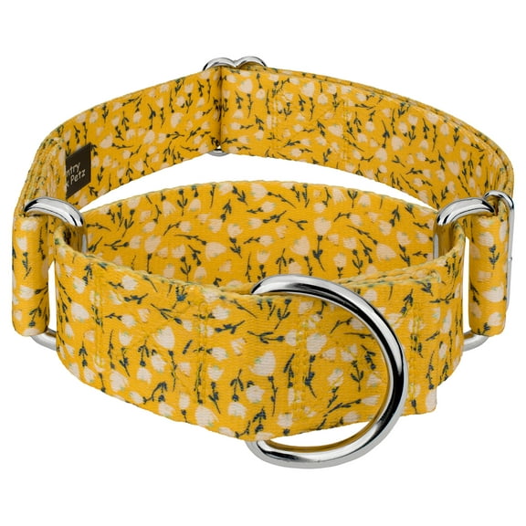 Country Brook Petz® 1 1/2 inch Spring Cottagecore Martingale Dog Collar, Extra Large