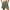 Army Green, variant on GIPQJK Bermuda Shorts for Women Cargo Shorts Knee Length 6 Pockets Elastic Waist Shorts for Summer Casual,Army Green L
