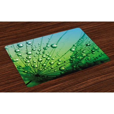 Flower Placemats Set of 4 Floral Theme Macro Photo of Dandelion Seeds with Water Drops Digital Image Print, Washable Fabric Place Mats for Dining Room Kitchen Table Decor,Fern Green, by (Best Place To Print Digital Photos)