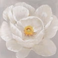 thumbnail image 3 of OToole, Tim 12x12 Black Modern Framed Museum Art Print Titled - White Peony II, 3 of 5