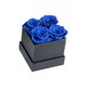 thumbnail image 1 of Bewildely Rosa preservada, flor eterna, Material inmortal, regalo de cumpleaños DIY de larga duración para adornos de aniversario de boda Flores artificiales Azul negro 4 cabezas, 1 of 6
