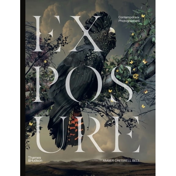 Exposure: Contemporary Photographers, (Hardcover)