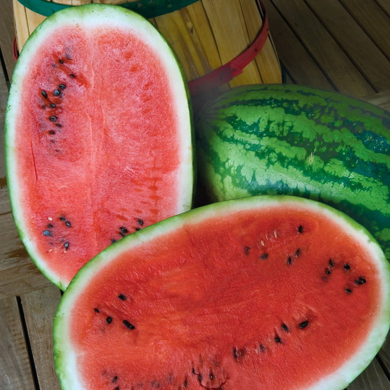 Burpee Organic Jubilee Watermelon Vegetable Seed, 1-Pack