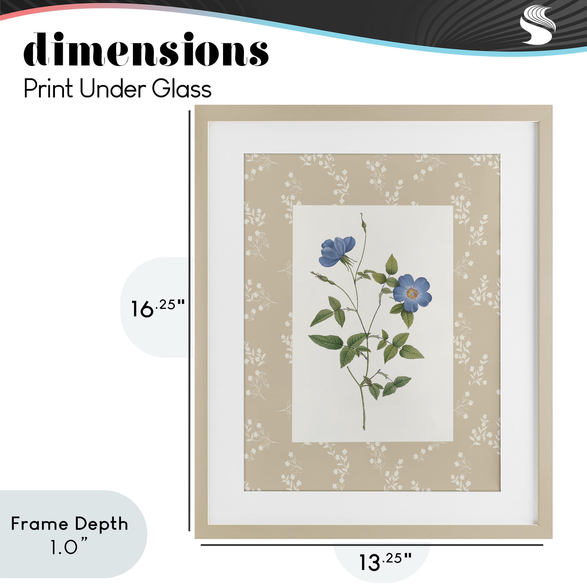 Stupell Industries Vintage Botanical Plate Birch Framed Print Under Glass, design by Val Rhodes