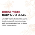 thumbnail image 4 of ReBoost Breathe Easy Decongestion Nasal Spray Fast-Acting Cold & Flu Symptom Relief Natural Homeopathic Ingredients Help Calm Congestion, Headache & Sinus Pressure - 0.68 oz, 4 of 8