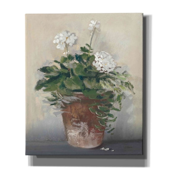 Epic Graffiti 'Pot Of White Geraniums' by Carol Rowan, Giclee Canvas Wall Art, 20"x24"