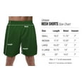 thumbnail image 6 of Aquaman Logo Mens Lined Mesh Shorts, Hunter Green, Medium, 6 of 6