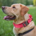 thumbnail image 7 of Unique Bargains Dog Collar for Large Dogs Adjustable Heavy Duty Collar with Handle Tactical Dog Collar Heavy Duty Dog Collar Pink M, 7 of 7