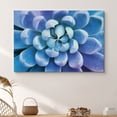 thumbnail image 1 of PixonSign Canvas Print Wall Art Blossoming Blue and Purple Succulent Floral Wilderness Photography Realism Glam Closeup Colorful Multicolor Ultra for Living Room, Bedroom, Office - 32"x48", 1 of 5