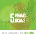 thumbnail image 3 of RYSE BCAA EAA Powder Surgar-Free - Strawberry Pineapple - 30 Servings, 3 of 7