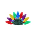 thumbnail image 1 of String Light Celebrations C6 LED 50 bombillas multicolores de 7,8 m, 1 of 4