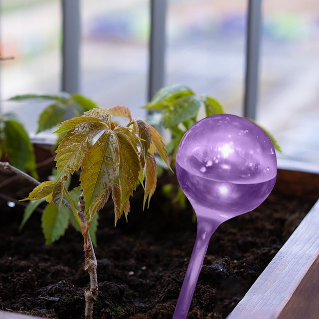 Bebedero para plantas, forma de pájaro/bola, riego por goteo de PVC, dispositivos de riego automático (J) Likrtyny Libre de BPA