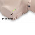 thumbnail image 2 of Prestan Child CPR Manikin (4 Pack) (Options Available!), 2 of 5