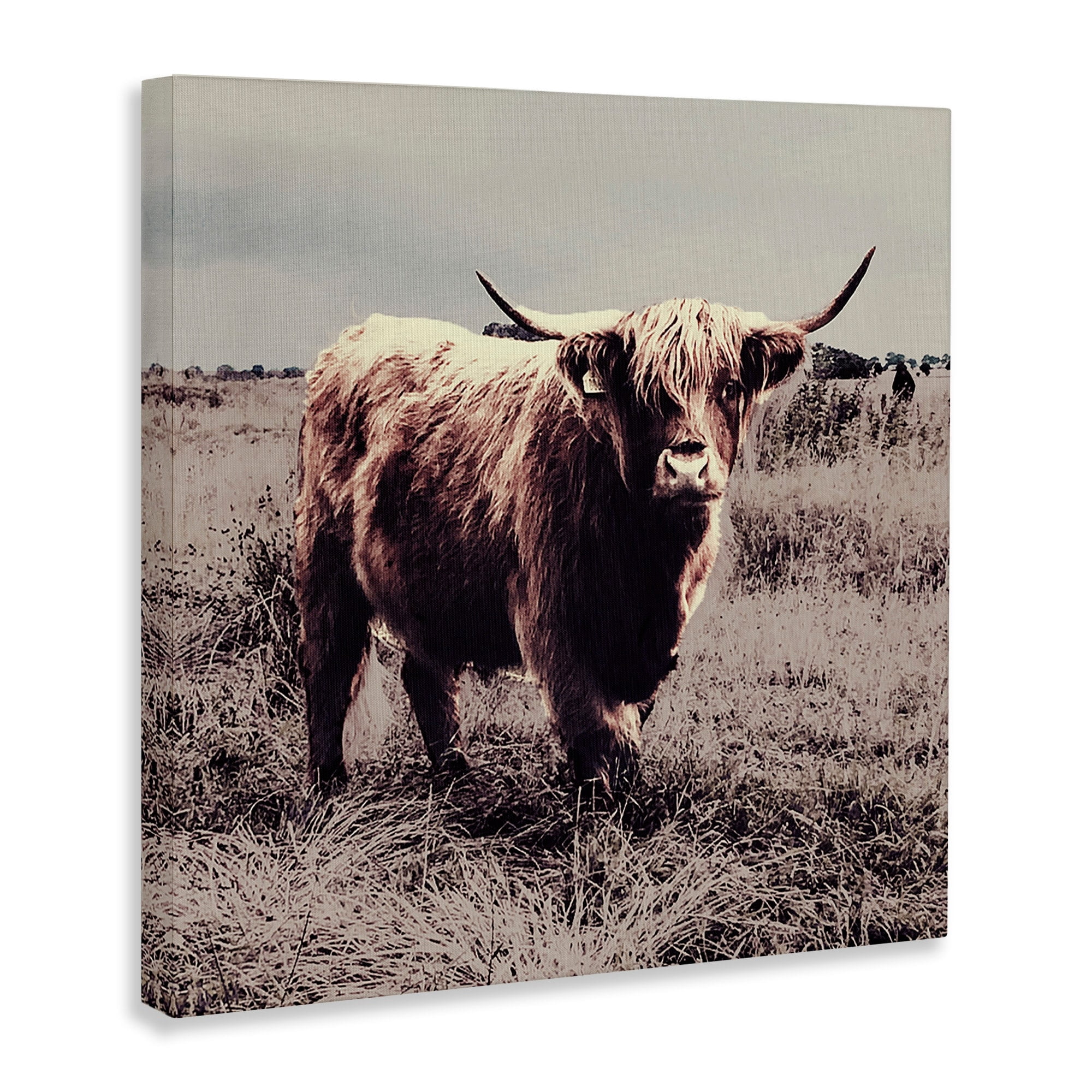 Stupell Industries Farm Cattle Rustic Vintage Styling Muted Tones,24 x 24,Designed by SD Graphics Studio
