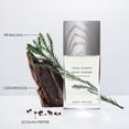 thumbnail image 2 of Perfume Issey Miyake L'Eau d'Issey para hombre 125ml, 2 of 7