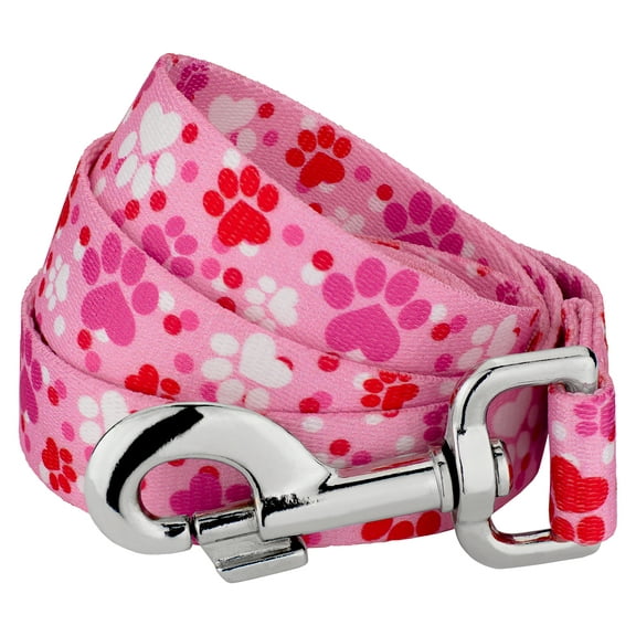 Country Brook Petz - Puppy Love Dog Leash - Affection Collection with 13 Designs You'll Adore ( 4 Foot, 5/8 inch Wide)