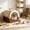 Brown, variant on Portable Foldable Cooling Cat Igloo Bed Enclosed Summer Chill Cave with Ice Pack for Cats Small Dogs All Season Indoor Outdoor Insulated