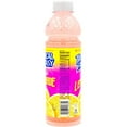 thumbnail image 2 of Tropical Fantasy Pink Lemonade Premium Juice, 24oz, 2 of 2
