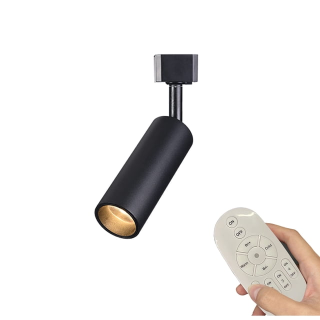 FSLiving J-type Accent Track Light 7W COB LED Stepless Dimming Adjustment Remote Control Spotlight Color Changing Extra Light Rotating Decorative for Loft Wall Art Exhibition,Black - 1 Pack