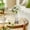 5.91×2.56 in, variant on Retro Clear Glass Mini Vase, Small Vases for Flowers, French Style Decor Desktop Vase for Display, Flower Vases, Tabletop Decor Tiny Glass Vase, Transparent Dry Flower Holder, Decor Vase,3.94×2.56 in