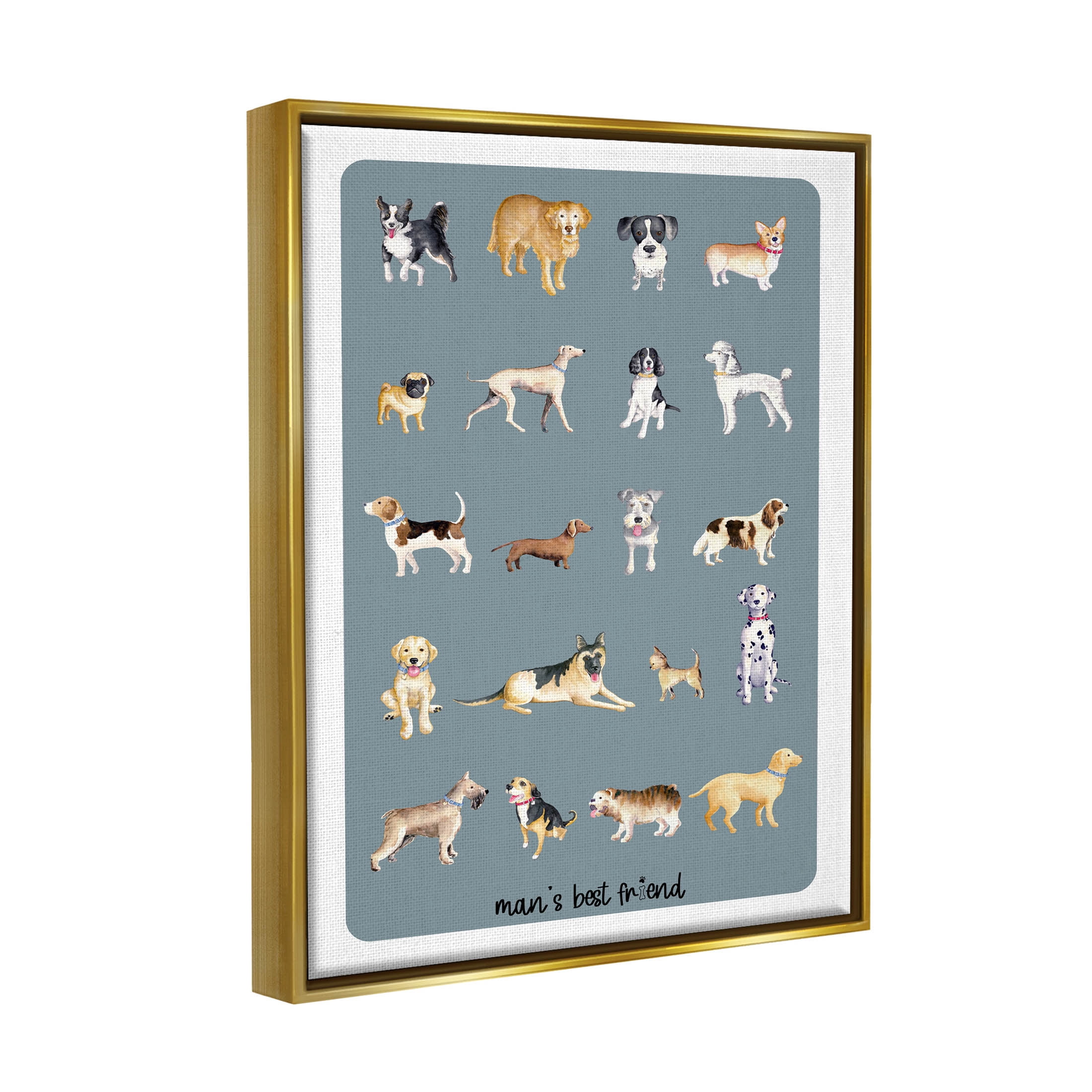 Man's Best Friend Dog Breeds Animals & Insects Graphic Art Metallic Gold Framed Art Print Wall Art