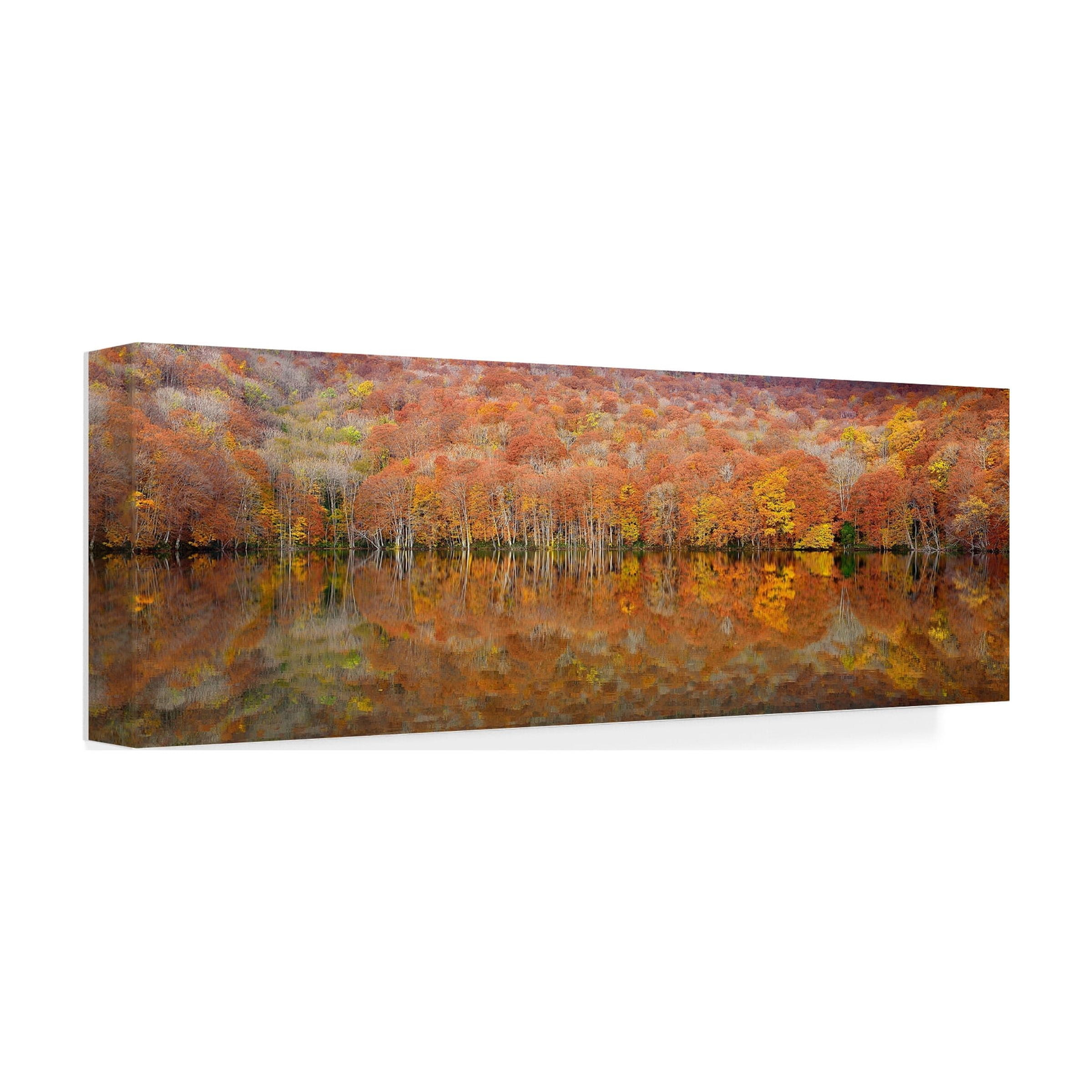 Sho Shibata 'Glowing Autumn' Canvas Art