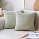 thumbnail image 2 of Pack Of 2 Corduroy Decorative Throw Pillow Covers 20x20 Inch Soft Boho Striped Pillow Covers Modern Farmhouse Home Decor For Spring Sofa Living Room C, 2 of 5