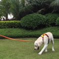 thumbnail image 4 of HAHDAXIA Dog Harness Adjustable Harness 3M Reflective Dog Vest Harness with Handle, X-Small, Orange, 4 of 7
