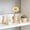 Beige-BG, variant on MMJ Ceramic Vase 13.5x8.7cm Plain Style for Flower Arrangement Indoor Home Decoration Beige Black Yellow White