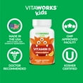 thumbnail image 5 of Vitaworks Kids Vitamin D 1000 IU, Dietary Supplement for Immune Support, 120 Chewables, 5 of 8