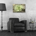 thumbnail image 4 of Epic Art 'Glowing Succulent II' by Lori Deiter Acrylic Glass Wall Art, 24"x16", 4 of 8