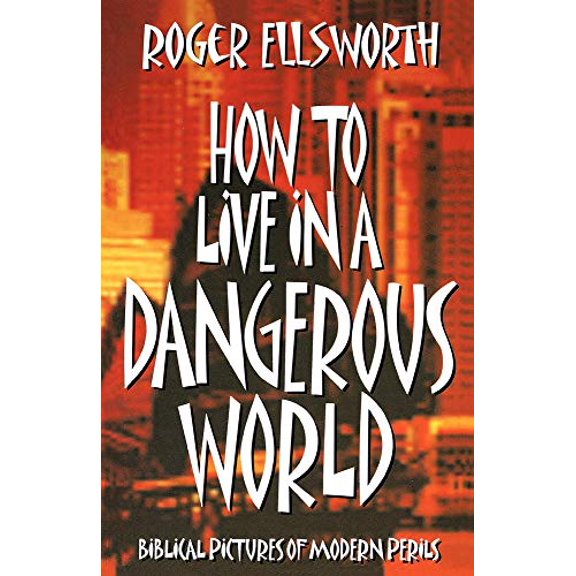 Pre-Owned How to Live in a Dangerous World (Paperback) 0852344163 9780852344163
