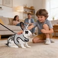 thumbnail image 6 of Rabbit Harness and Leash Set, Adjustable Mesh Bunny Walking Harness with Lead, Breathable Small Pet Harness for Rabbits 6.61 Lbs., 6 of 8