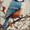 Blue Tit Bird, variant on Qisvanset WEY DAE DAY Typography Canvas Wall Art 15.75x11.81 Inches