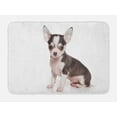 thumbnail image 1 of Chihuahua Bath Mat, Photo of Little Puppy Posing with Ears and Innocent Eyes, Plush Bathroom Decor Mat with Non Slip Backing, 29.5" X 17.5", Pale Eggshell and Taupe, by Ambesonne, 1 of 2