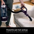 thumbnail image 4 of SHARK R-ZD550 Lift-Away with PowerFins HairPro & Odor Neutralizer Technology Upright Multi Surface Vacuum Mauve - Certified (Renewed), 4 of 5