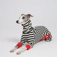 thumbnail image 3 of UOSIA Italian Greyhound Onesie Clothes, Turtleneck Striped Shirt for Whippets Puppy, 3 of 7
