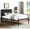 Black_Twin, variant on Tcbosik Twin Size Metal Platform Bed with Wood Headboard, White
