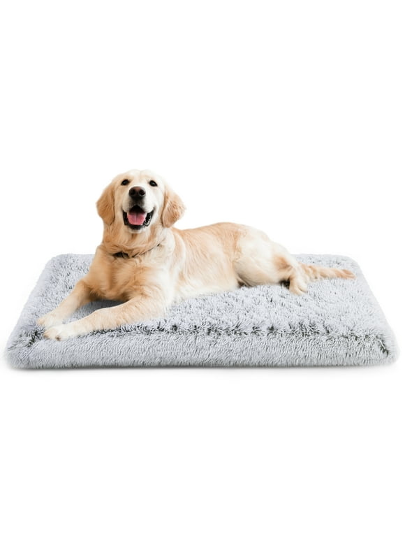 MrDoggy Dog Bed for Large Dogs, Egg Crate Memory Foam Orthopedic Dog Bed Washable Pet Bed for Large Medium Size Dogs, Cozy Soft Plush Calming Dog Crate Bed 36"x28", Gray