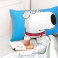 thumbnail image 6 of Family Guy Pillowcase Cushion Pillow Covers With Hidden Zipper Pillow Case Decor For Bed Dorm Sofa Couch Car 16"x24", 6 of 8