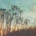 thumbnail image 2 of Wild Grass I Poster Print by Amy Melious (24 x 24), 2 of 2