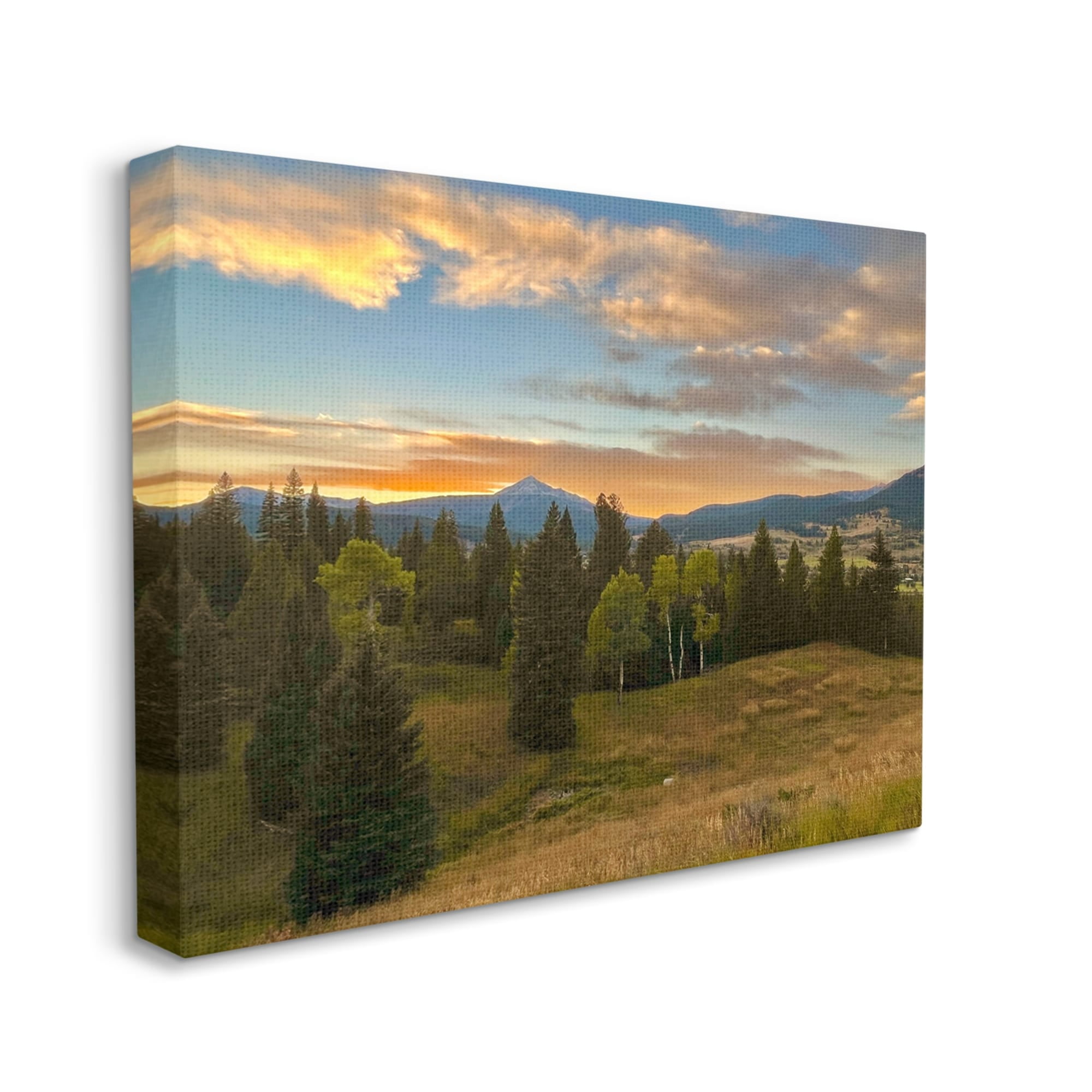 Stupell Montana Sunset Forest Clearing Landscape Photography Gallery Wrapped Canvas Print Wall Art