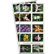 Wild Orchids 2 Books of 20 USPS First Class Forever Postage Stamps Birthday Anniversary Wedding Celebration (40 Stamps)