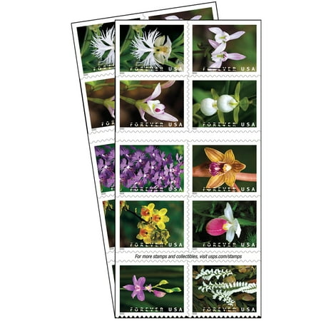 Wild Orchids 2 Books of 20 USPS First Class Forever Postage Stamps Birthday Anniversary Wedding Celebration (40 Stamps)