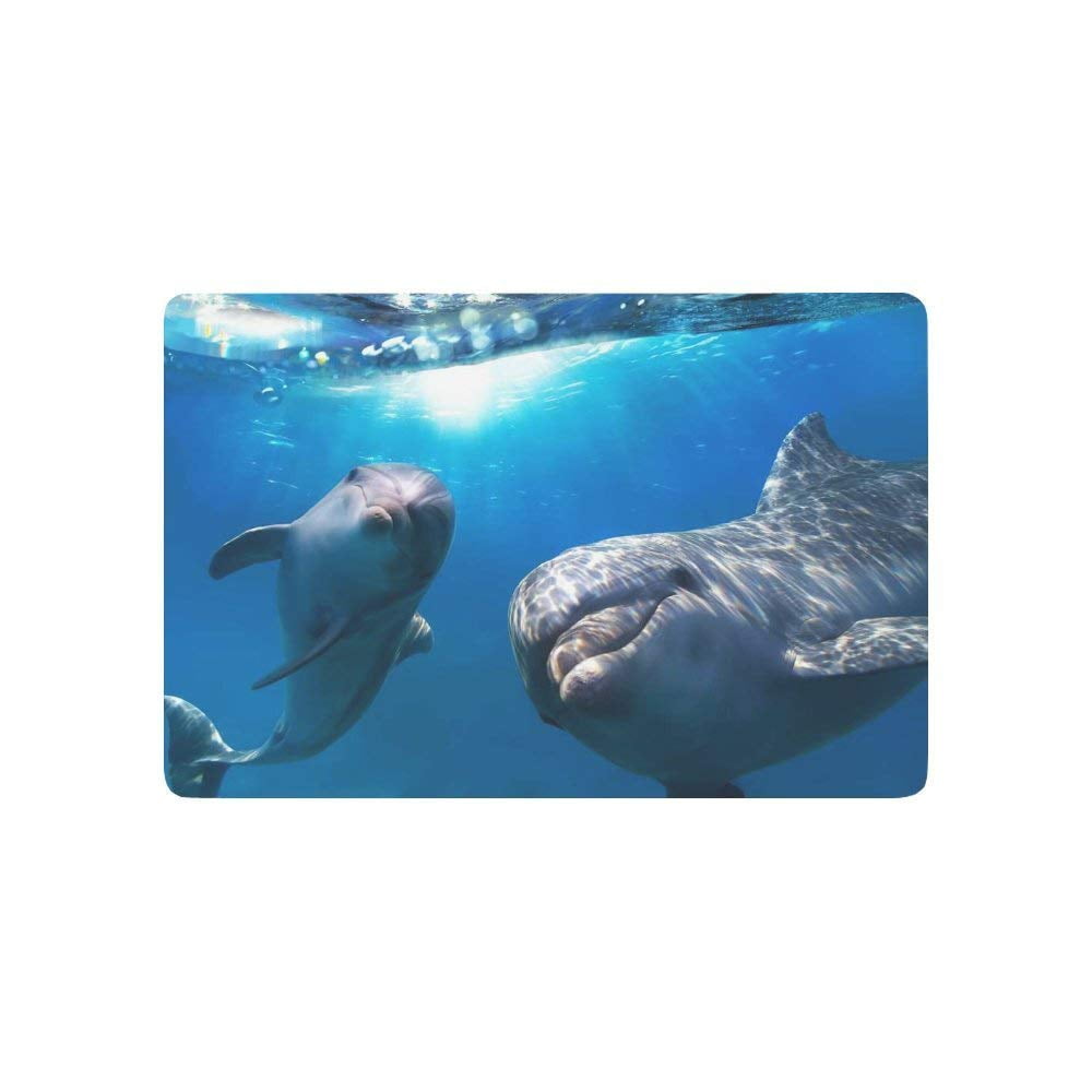 CADecor Ocean Beach Theme Door Mat Home Decor, Sea Animal Dolphins