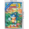 thumbnail image 3 of Sonic the Hedgehog 3 (1994) - Key Art Wall Poster, 22.375" x 34" Framed, 3 of 5