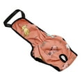 thumbnail image 1 of CSChome Culottes Menstruelles pour Animaux Réutilisables - Slips Imperméables avec Sangle pour Chien, Motif Cartoon avec Bouton Pression, 1 of 7