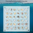 thumbnail image 3 of 2Pcs Acrylic Magnetic Seashell Display Box Magnetic Seashell Display Box Transparent Seashell Storage 36 Grids Seashell Storage Box for Seashell Diamond Beads, 3 of 7