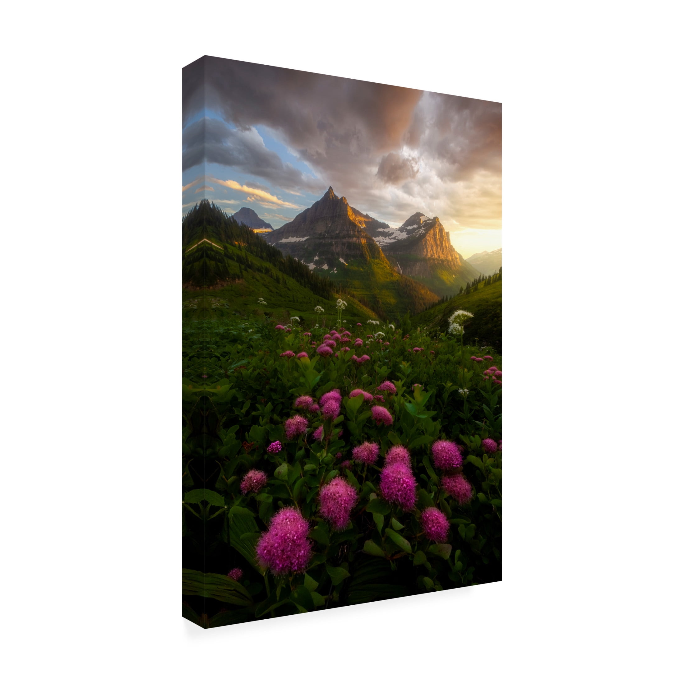 Canvas Wall Art - Ryan Dyar 'As It Fades' Wall Art for Living Room, Bedroom, or Office Décor by Trademark Fine Art - 12 x 19 Inches